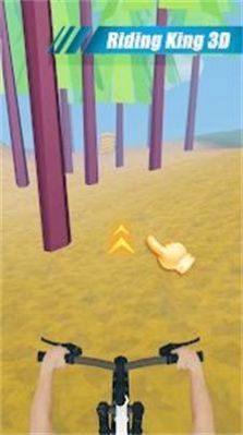 骑行王3D游戏图1