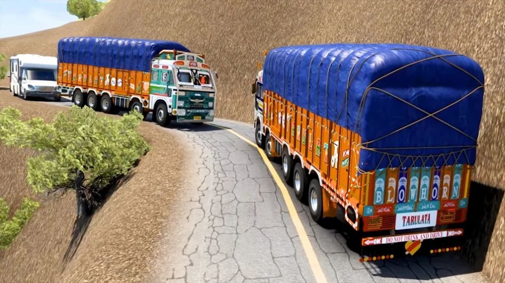 印度卡车货物运输图1