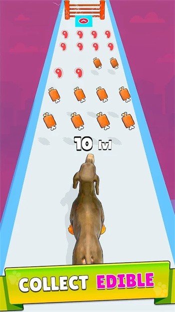 狗狗进化跑酷游戏图2